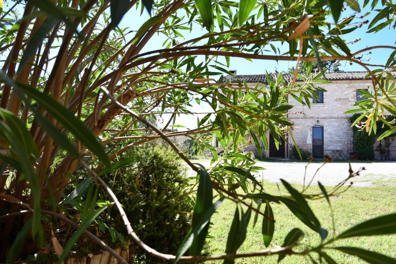 Isola del Piano Agriturismo Dai Mori מראה חיצוני תמונה